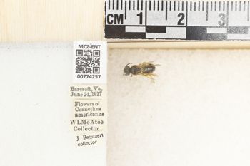 Media type: image;   Entomology 774257 Aspect: Labels